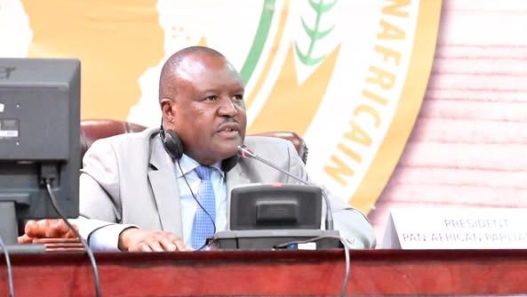 Chief Fortune charumbira, PAP President