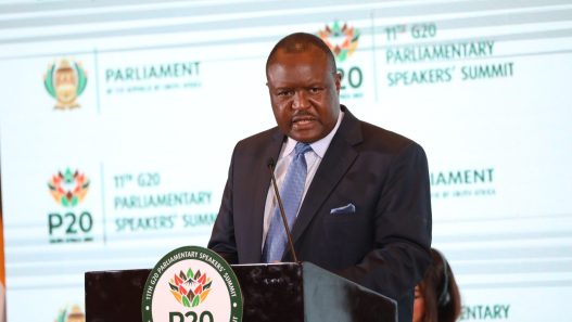 Chief Fortune charumbira, PAP President